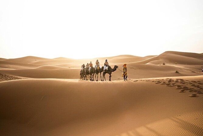 From Marrakech: 3-Day Desert Tour to Agadir - Guides, vehicles, and the human side of the trip