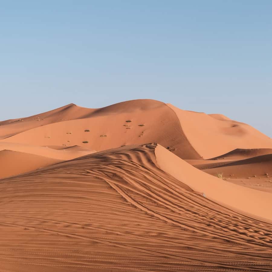 From Marrakech: 3 Day Round Trip To Merzouga Desert & Camel - Who should book, and who should think twice