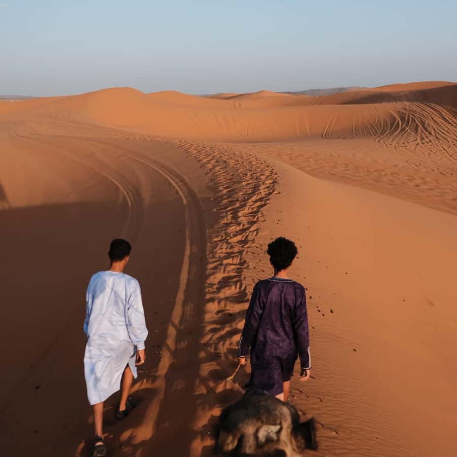 From Marrakech: 3 Day Round Trip To Merzouga Desert & Camel - Day three: Sunrise and the long road back