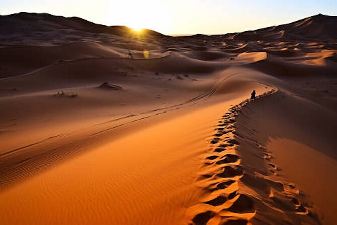 From Marrakech : 3 Days Desert Tour To Fes - Sunrise at Erg Chebbi and the road to Azrou