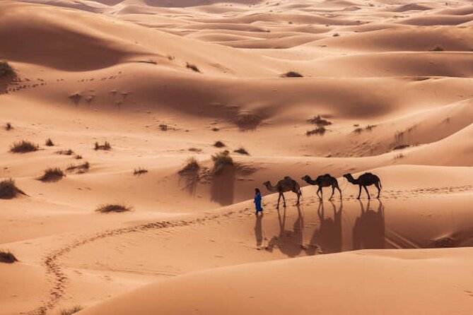 From Marrakech : 3 Days Desert Tour To Fes - Guides, group size, and the feel of the journey