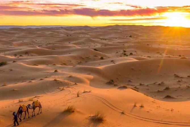 From Marrakech : 3 Days Desert Tour To Fes - Practical advice for choosing this tour