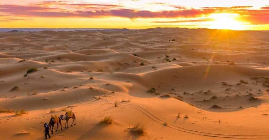 From Marrakech: 3 Days Desert Tour To Merzouga Luxury Camp - Todra Gorge and Morocco’s fossil country