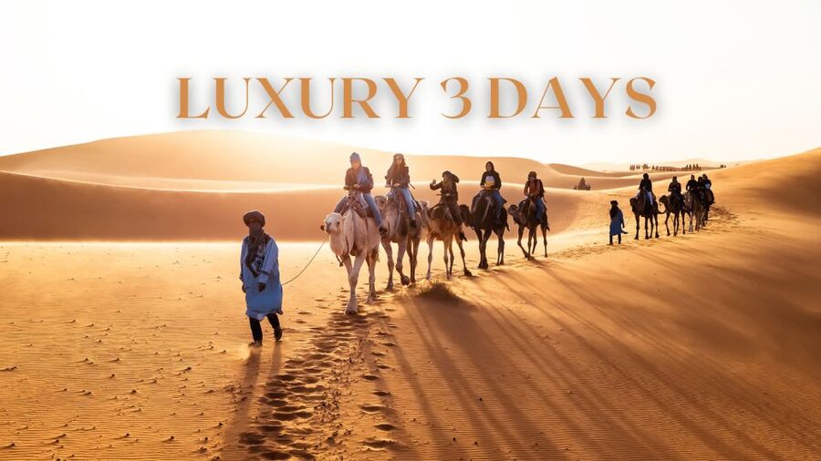 From Marrakech: 3 Days Desert Tour To Merzouga Luxury Camp - Camel tracks into the Erg Chebbi dunes