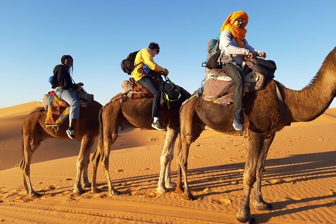 From Marrakech 3 Days Tour To Merzouga Sahara Desert - Who will enjoy this tour most