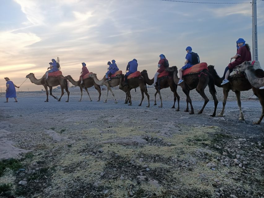 From Marrakech: 4-Day Morocco Sahara Desert Experience - Day four: The long return to Marrakech