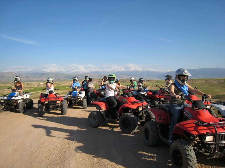 From Marrakech: Adventure Quad Ride in La Palmeraie - Key points to know before booking