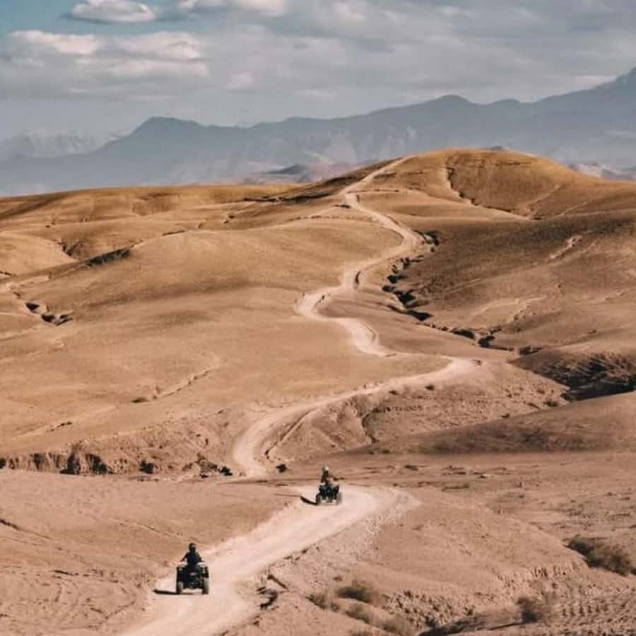 From Marrakech: Agafay Desert Dinner with Quad & Camel Ride - Camel ride or shared quad bike