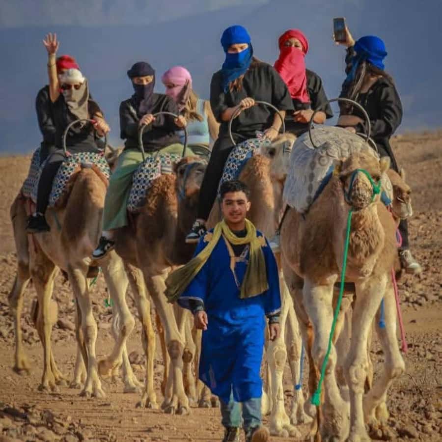 From Marrakech: Agafay Desert Dinner with Quad & Camel Ride - Is $23 good value?