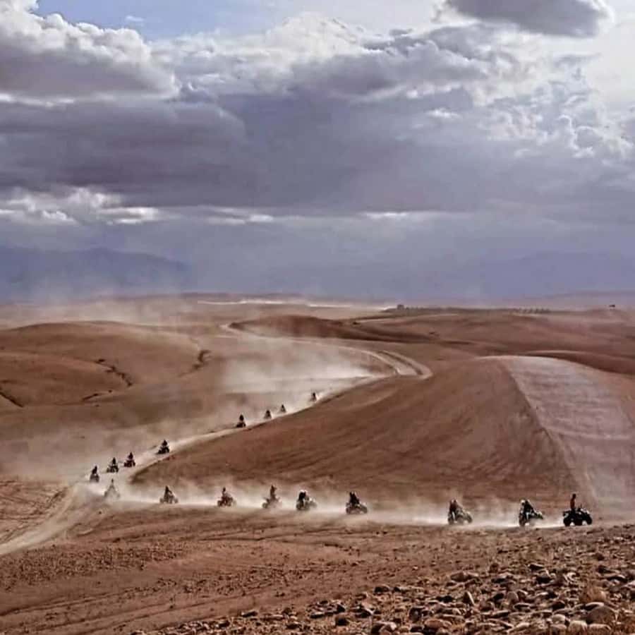 From Marrakech: Agafay Desert Dinner with Quad & Camel Ride - Who should book this Agafay evening?