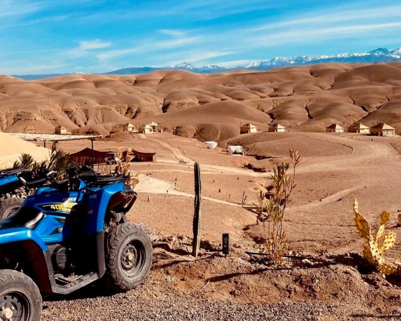 From Marrakech: Agafay Desert Quad Biking with Dinner & Show - Who should book this Agafay outing?