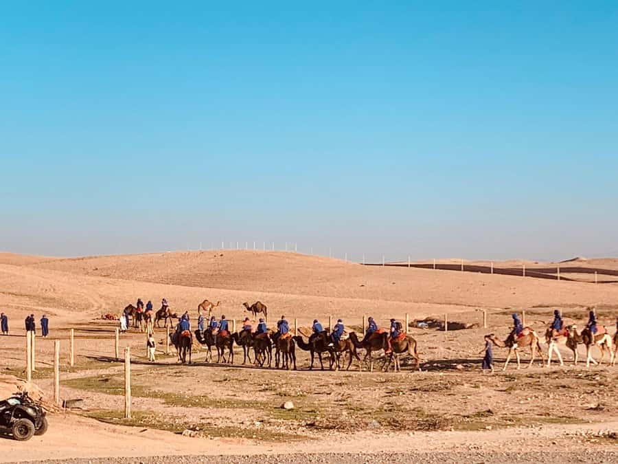 From Marrakech: Agafay Desert Sunset, Camel Ride, and Dinner - Mint tea and the first look at the rocky desert