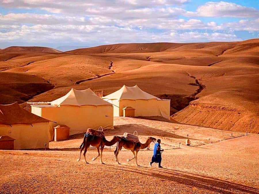 From Marrakech : Agafay Desert Sunset Dinner with Camel Ride - Mint tea while the sun drops behind the hills