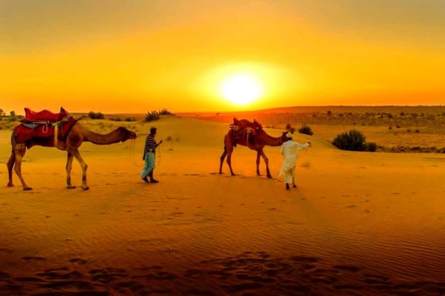 From Marrakech : Agafay Desert Sunset Dinner with Camel Ride - Who will enjoy this evening most