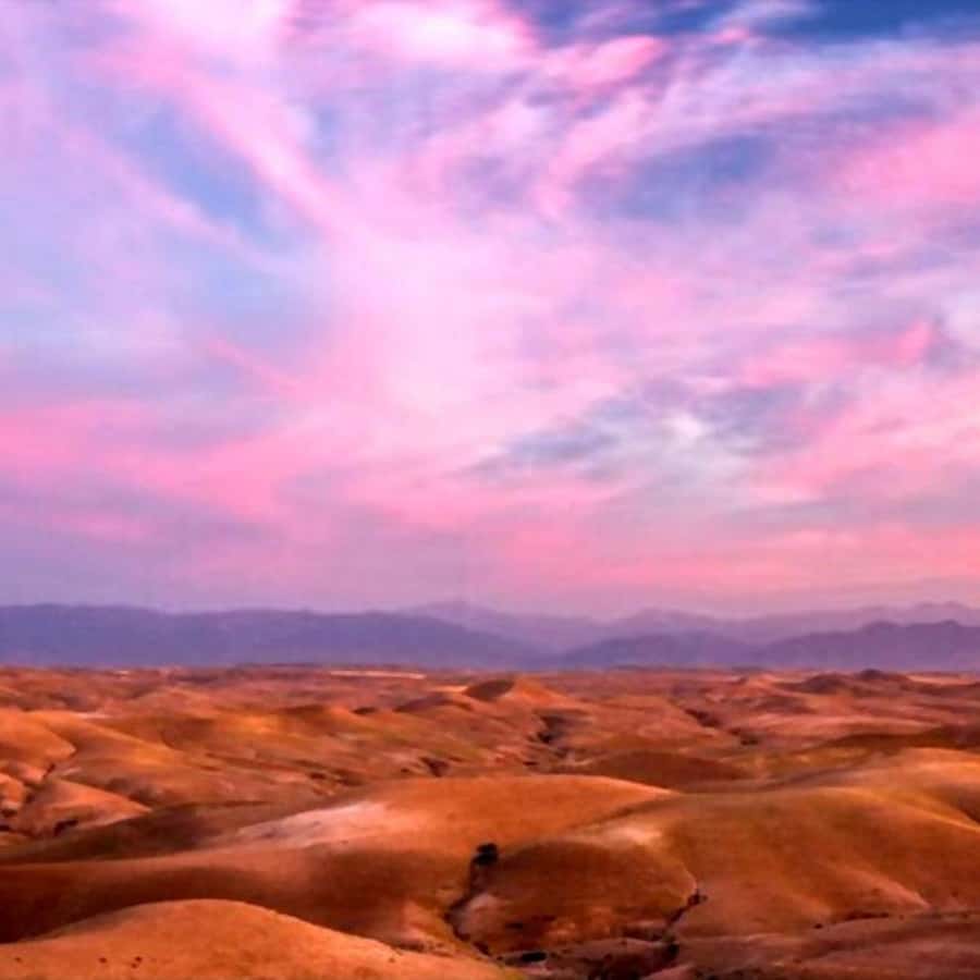 From Marrakech: Agafay Desert Sunset Dinner with Live Show - Camel rides and quad biking: check what you booked