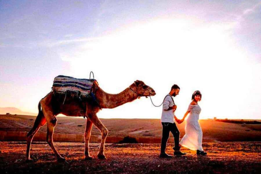 From Marrakech: Agafay Desert Sunset Dinner with Live Show - How the guides affect the evening