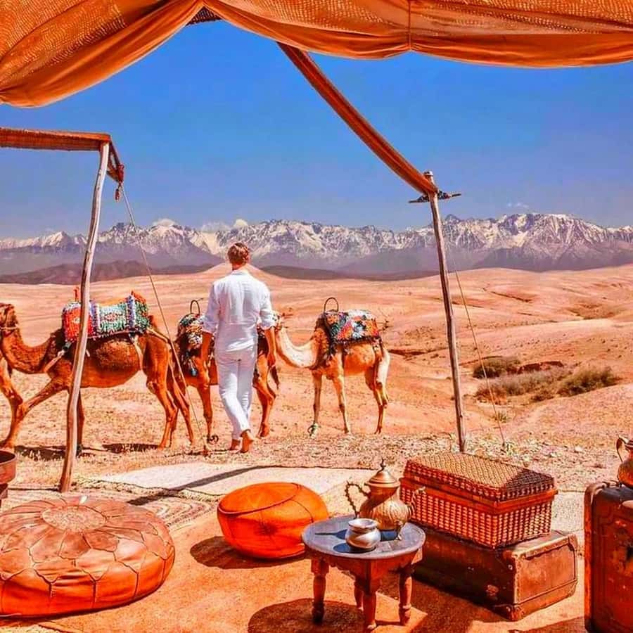 From Marrakech: Agafay Desert Sunset Dinner with Live Show - Seeing argan oil made by hand