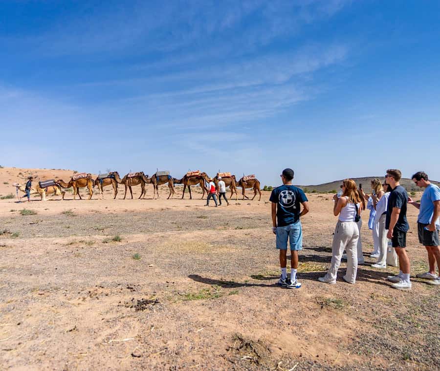 From Marrakech: Agafay Sunset Camel Tour with Dinner & Show - Berber music, dancing, and the fire show