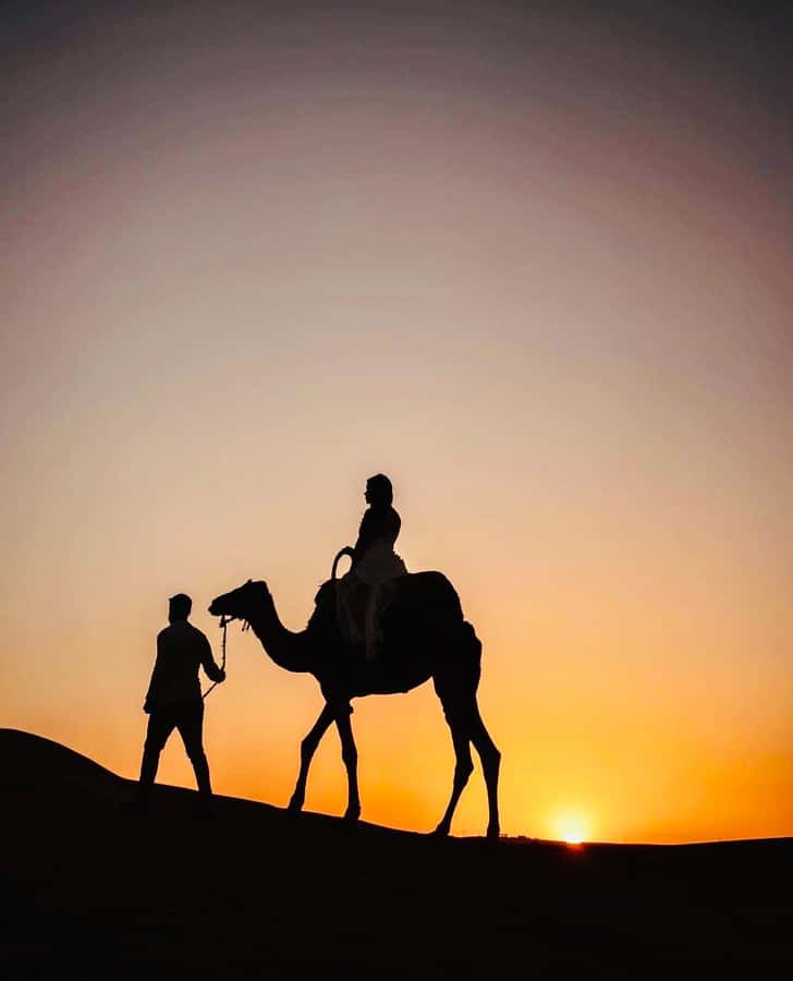 From Marrakech: Agafay Sunset Camel Tour with Dinner & Show - The $27 price and what you receive
