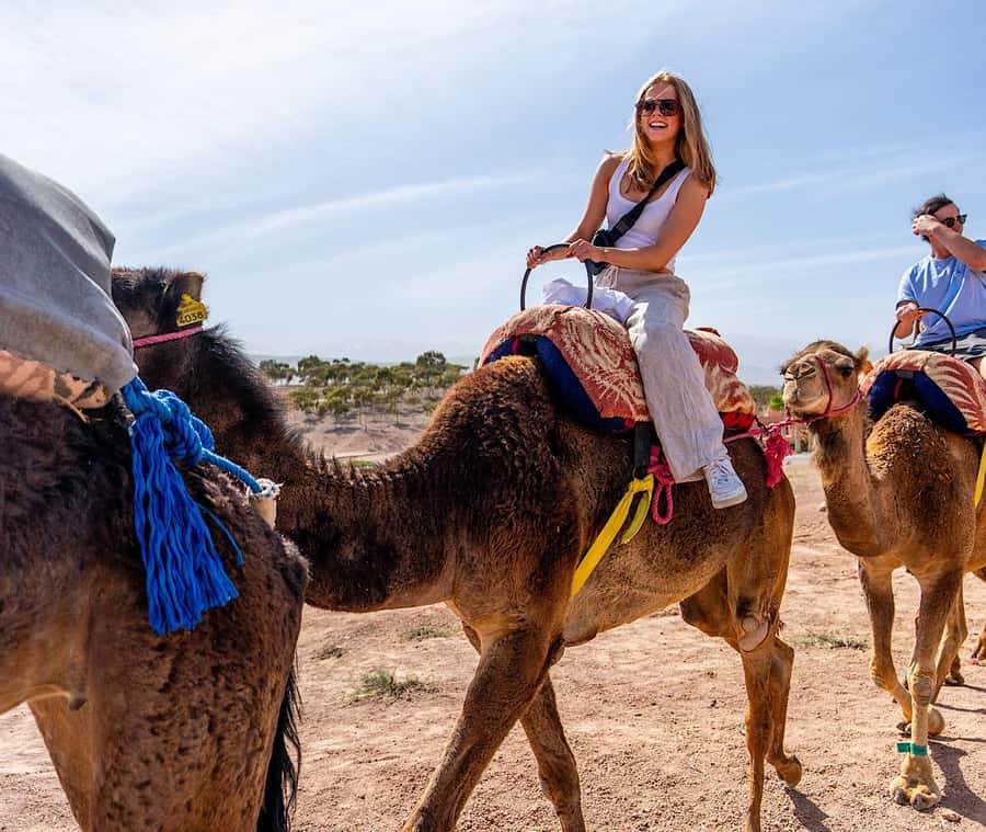 From Marrakech: Agafay Sunset Camel Tour with Dinner & Show - Who will enjoy this Agafay outing