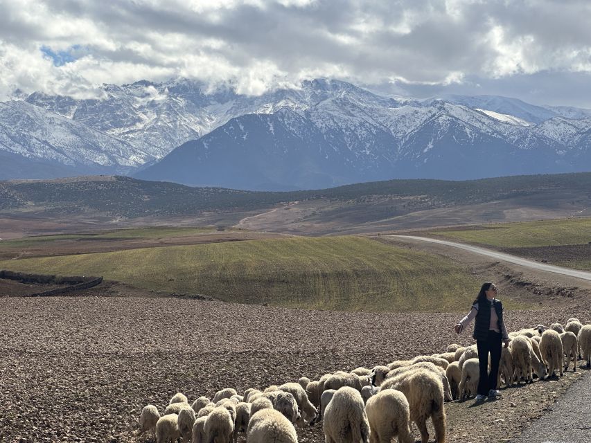 From Marrakech: Atlas Mountains 4-Day Hike with Hotels - Key points before you book