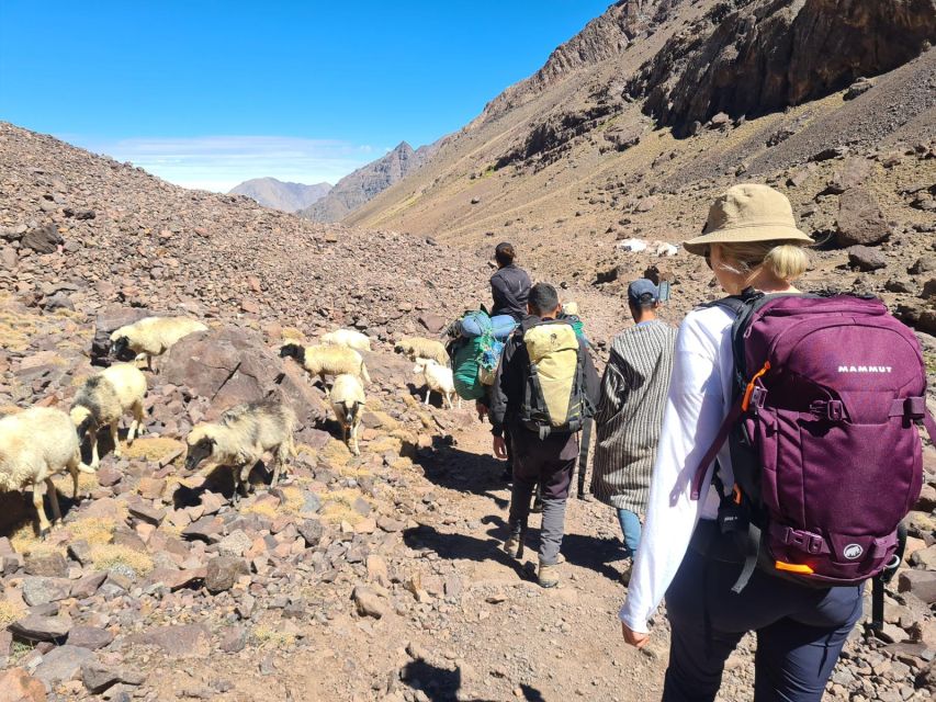 From Marrakech: Atlas Mountains 4-Day Hike with Hotels - The guesthouses and meals