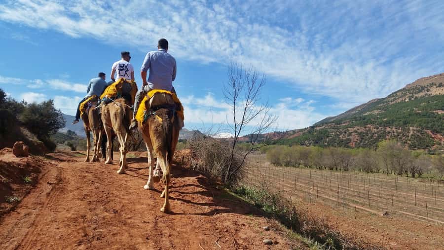 From Marrakech: Atlas Mountains 45-Minute Horseback Ride - From Marrakech to the High Atlas