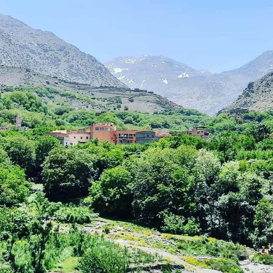 From Marrakech: Atlas Mountains and Berber Village Day Trip - Is $53 good value for a full day?