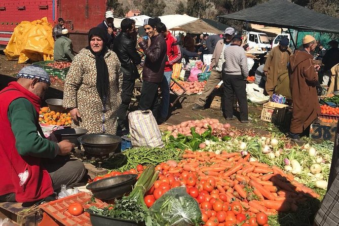 From Marrakech: Atlas Mountains and Berber Villages Day Trip - The short camel ride across the open country