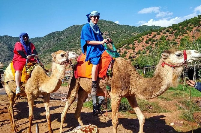 From Marrakech: Atlas Mountains and Berber Villages Day Trip - Meeting the local mule team