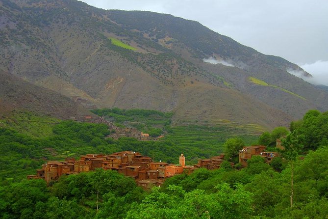 From Marrakech: Atlas Mountains and Berber Villages Day Trip - The 90-minute walk to the waterfalls
