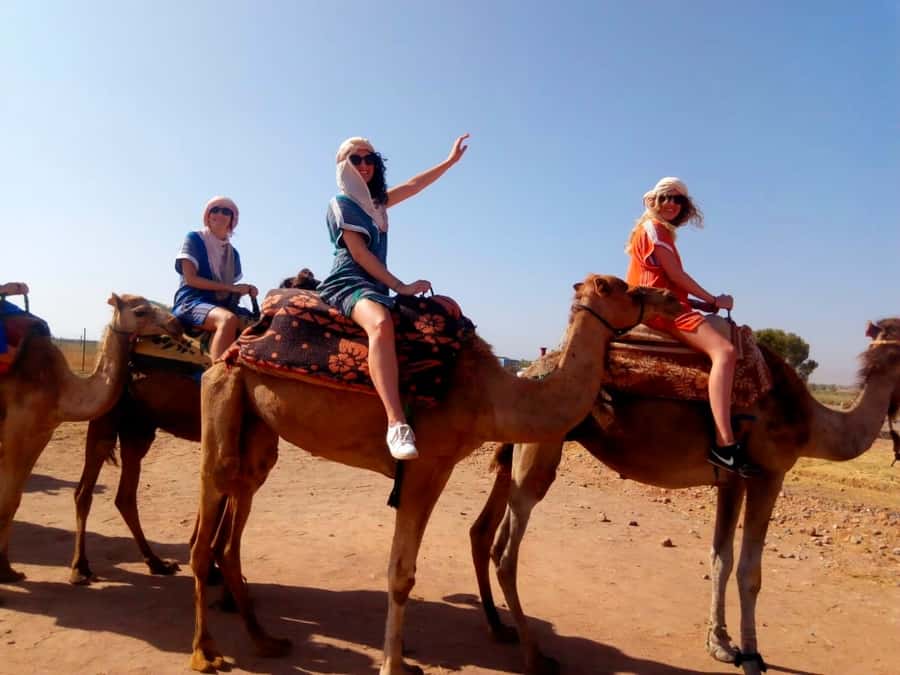 From Marrakech: Atlas Mountains and Three Valleys Day Trip - From Marrakech to Azrou and the first mountain views