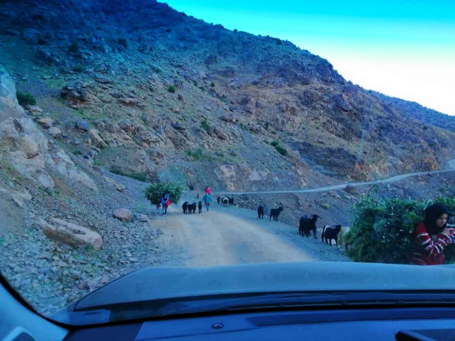From Marrakech: Atlas Mountains and Three Valleys Day Trip - Who will enjoy this day most