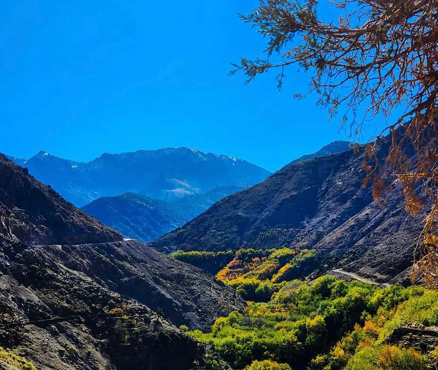 From Marrakech: Atlas Mountains Day Trip with Camel Ride - Tamatert, Taourirt, and the camel ride