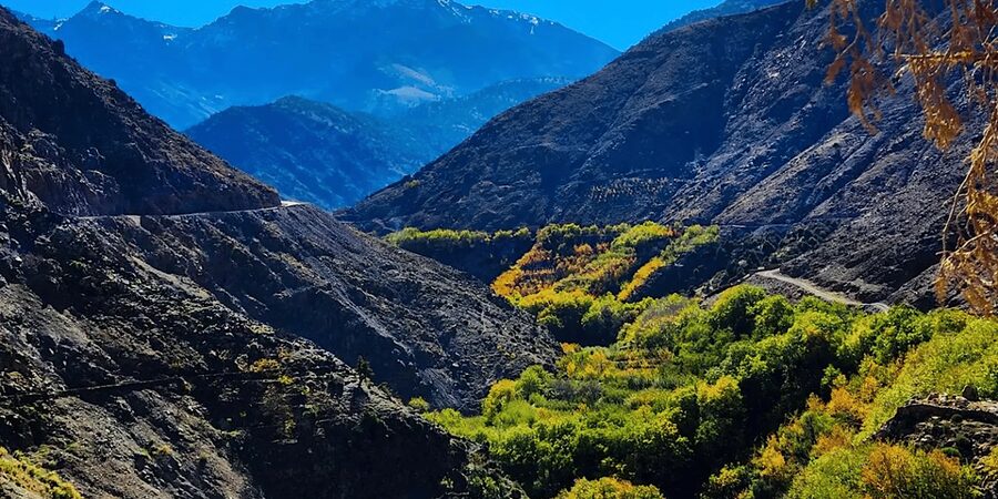 From Marrakech: Atlas Mountains Day Trip with Camel Ride - Transport, timing, and comfort