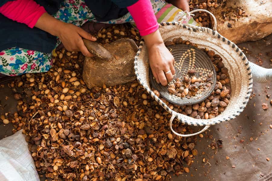 From Marrakech: Atlas Mountains Day Trip with Camel Ride - Tahnaout and the argan oil cooperative