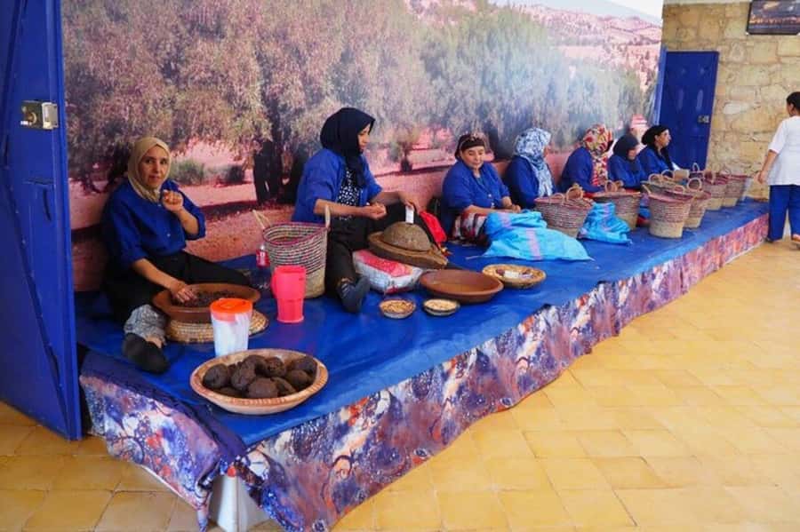 From Marrakech: Atlas Mountains Summit Trek - The argan cooperative stop