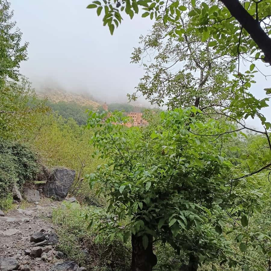 From Marrakech: Atlas Mountains Summit Trek - Is $69 good value?