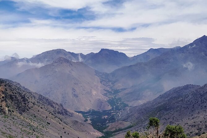 From Marrakech: Atlas Mountains Talamrout Summit day hike & Trek - Pine and cedar forest before the final climb