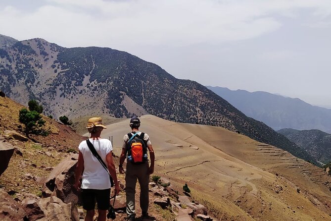 From Marrakech: Atlas Mountains Talamrout Summit day hike & Trek - Is $40.71 good value?