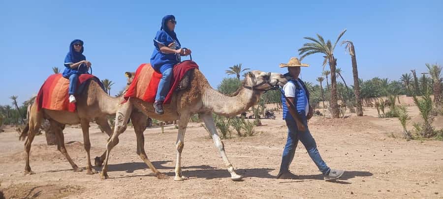 From Marrakech: Camel ride in the oasis palmeraie Grove - From Marrakech traffic to the Palmeraie palms