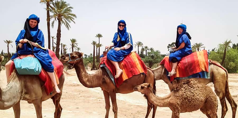From Marrakech: Camel ride in the oasis palmeraie Grove - FAQ