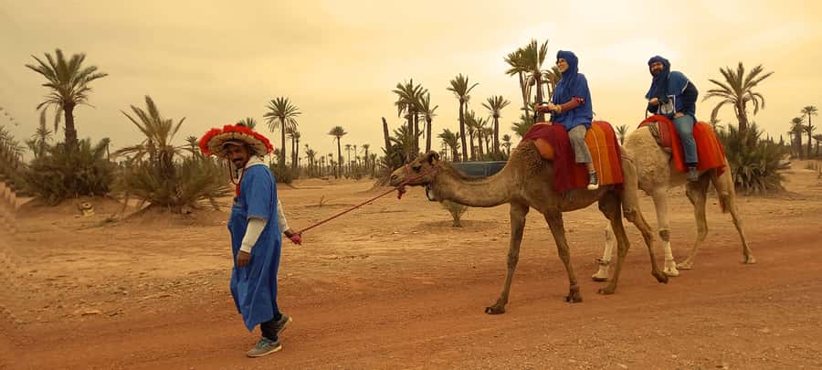 From Marrakech: Camel ride in the oasis palmeraie Grove - Guides, drivers, and the value of a small group