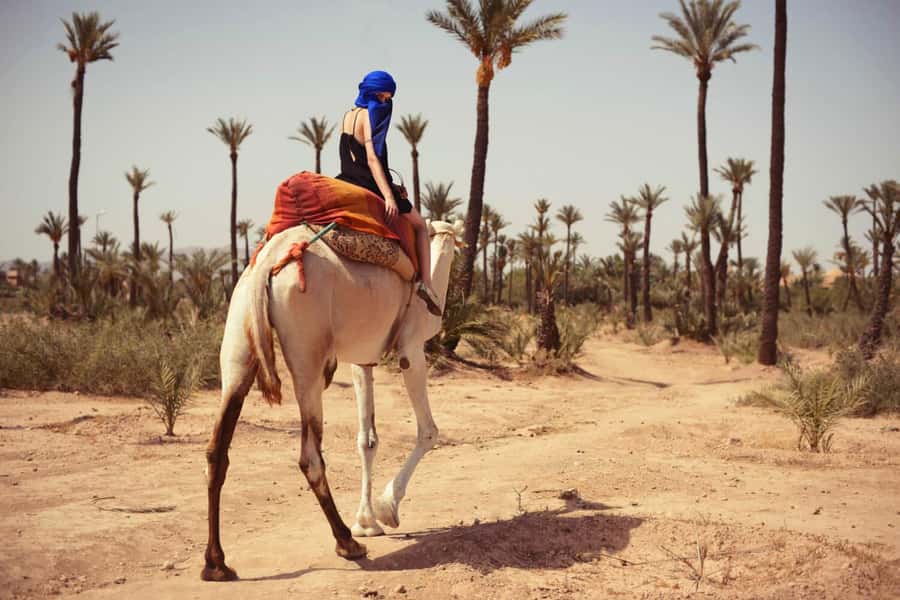From Marrakech: Camel ride in the oasis palmeraie Grove - Clothing, comfort, and who should skip it