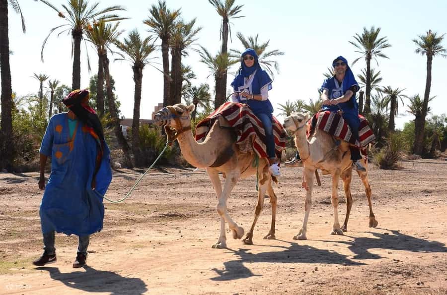 From Marrakech: Camel ride in the oasis palmeraie Grove - Booking, cancellation, and pickup details