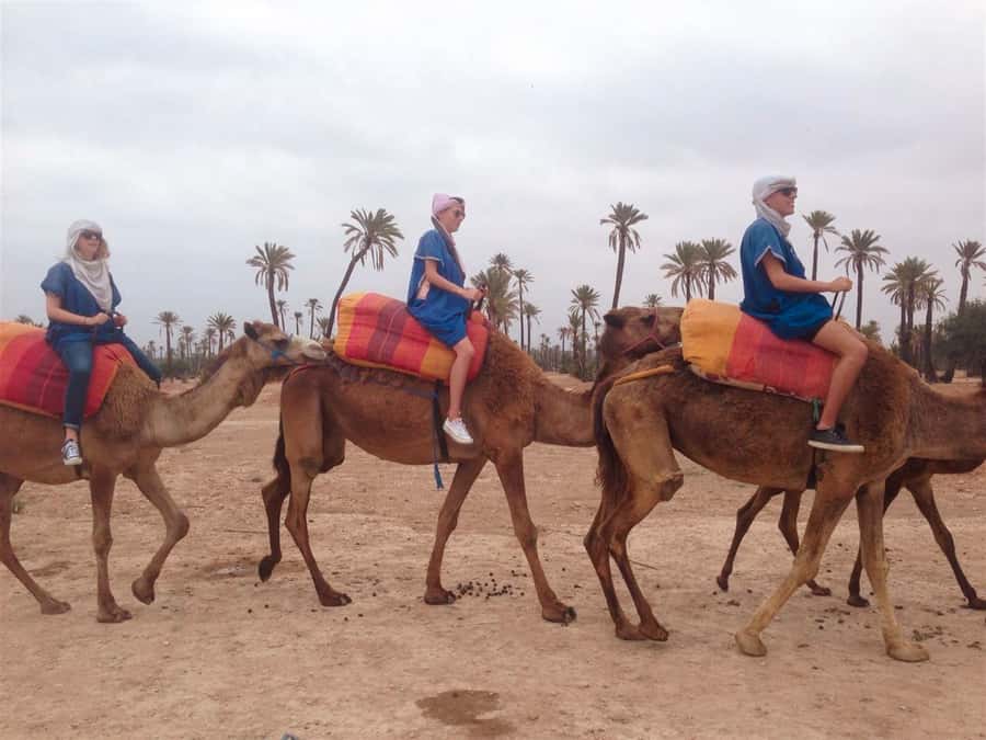From Marrakech: Camel Ride, Quad Bike & Spa Full-Day Trip - Key points to know before booking