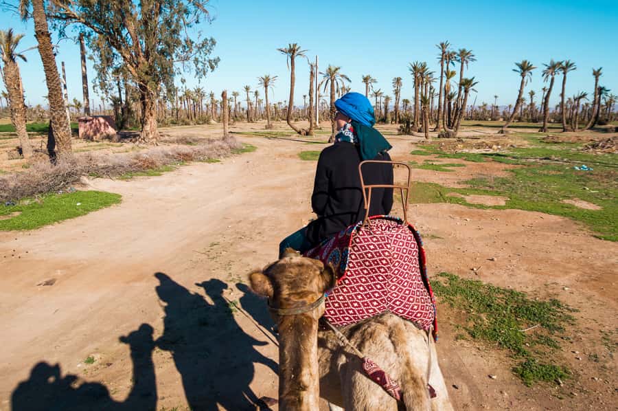 From Marrakech: Camel Ride, Quad Bike & Spa Full-Day Trip - Camel riding through the Palmeraie