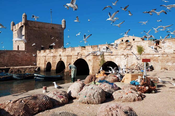 From Marrakech: Day Journey to Essaouira Mogador - The biggest point to clear up: Essaouira or the Atlas Mountains?
