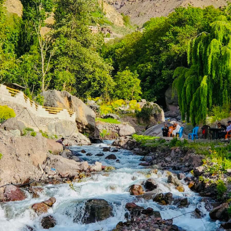 From Marrakech: Day Trip to Anima Garden and Imlil Valley - From Marrakech traffic to Anima Garden