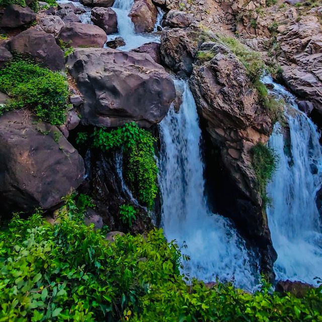 From Marrakech: Day Trip to Anima Garden and Imlil Valley - Is $39 a good value?